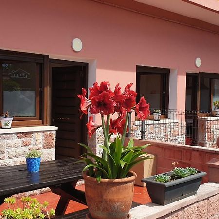Apartamentos Fermin Кангас-де-Онис Экстерьер фото